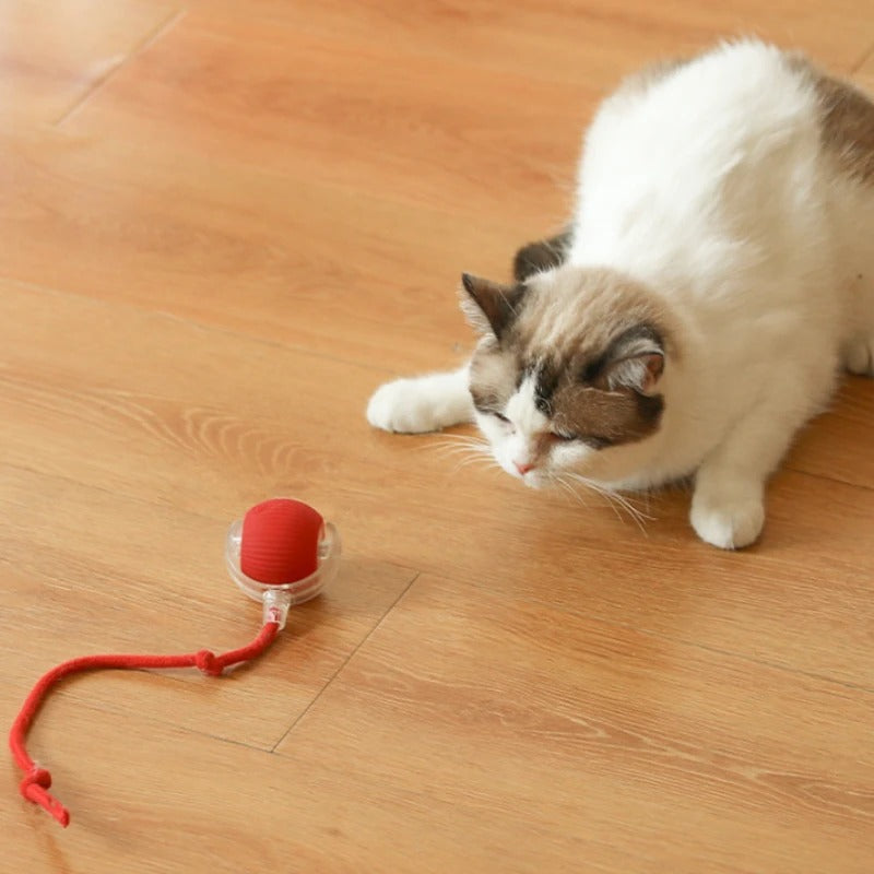 Interactive Cat Ball Toy