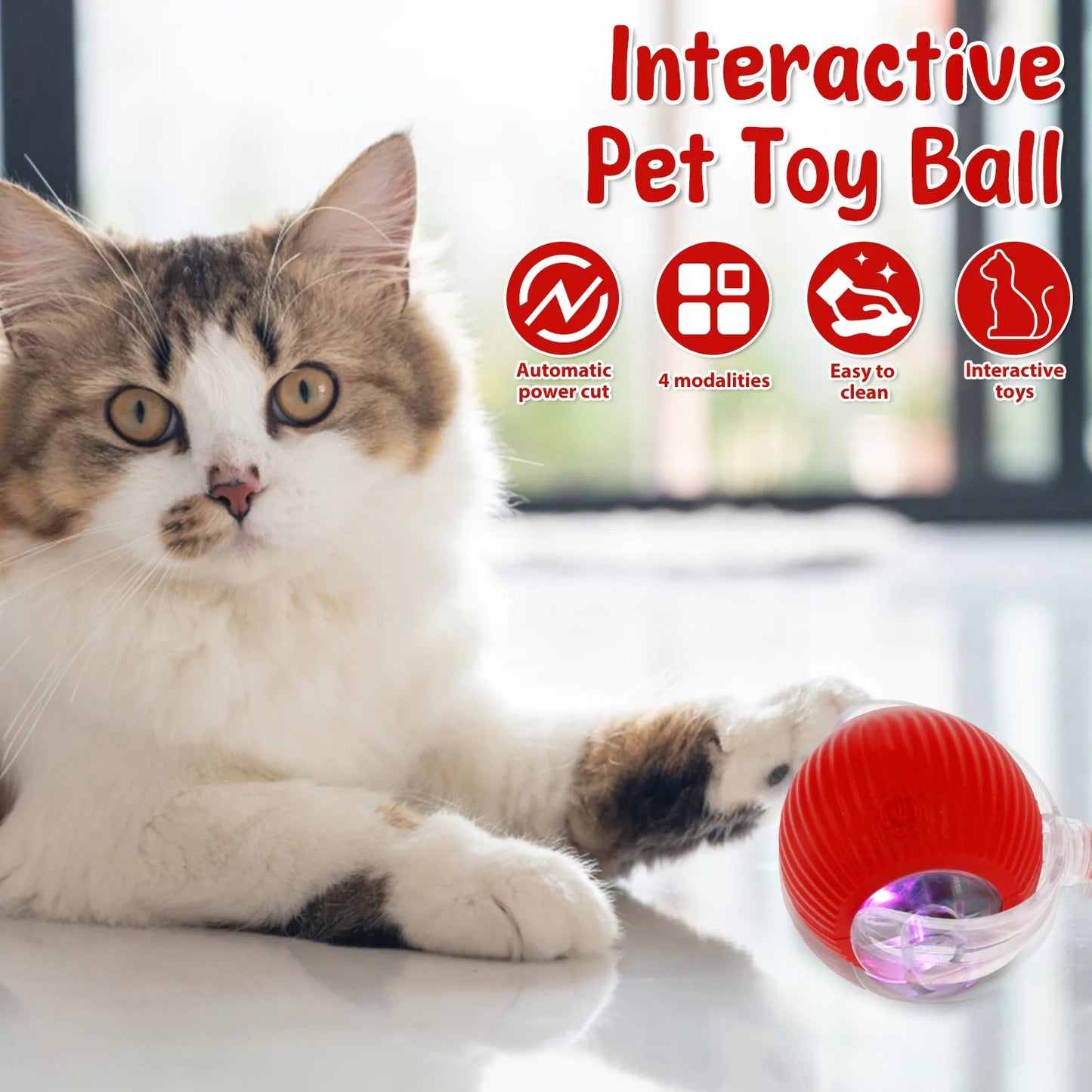 Interactive Cat Ball Toy