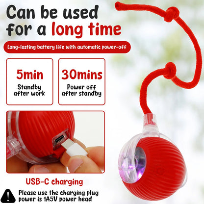 Interactive Cat Ball Toy