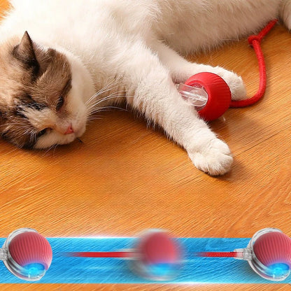 Interactive Cat Ball Toy