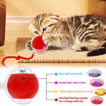 Interactive Cat Ball Toy