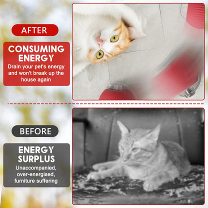 Interactive Cat Ball Toy