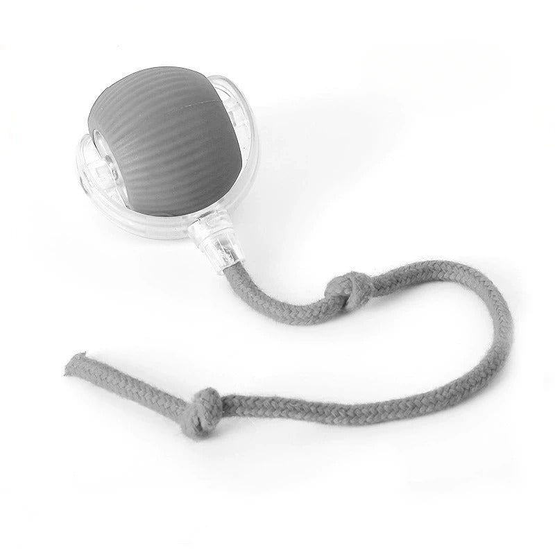 Interactive Cat Ball Toy